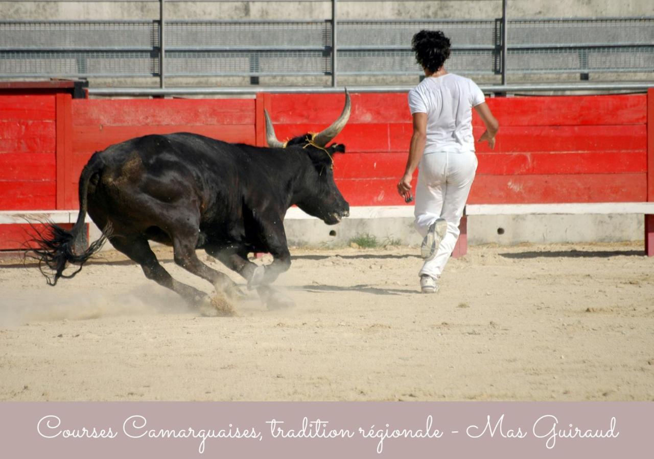 Mas Guiraud, Le Gaspardoux Beaucaire  Εξωτερικό φωτογραφία